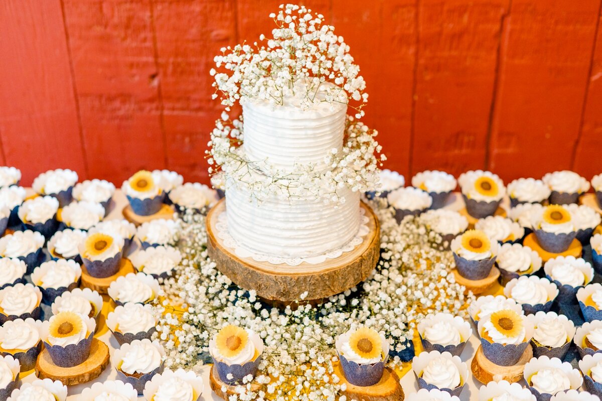 Wedding Day at Exploration Acres in Lafayette Indiana_1701.jpg